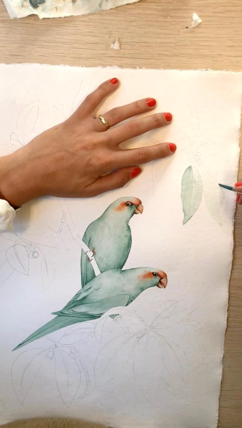 Marcela Picinin