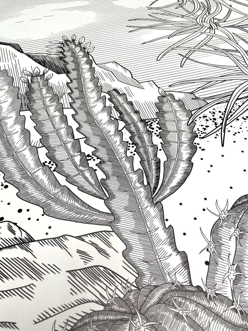 Desert Garden