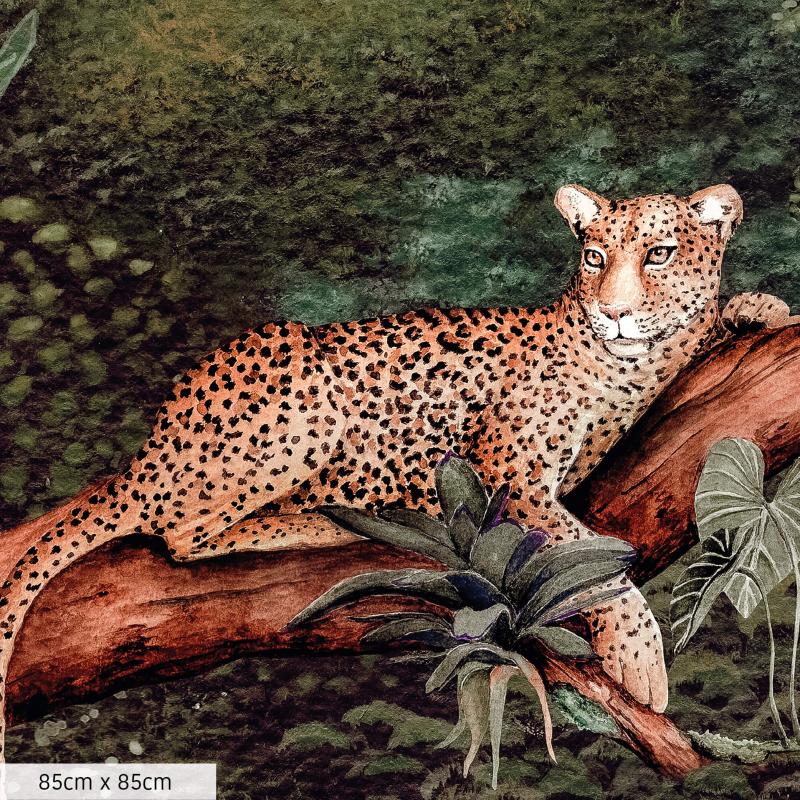 Amazonia