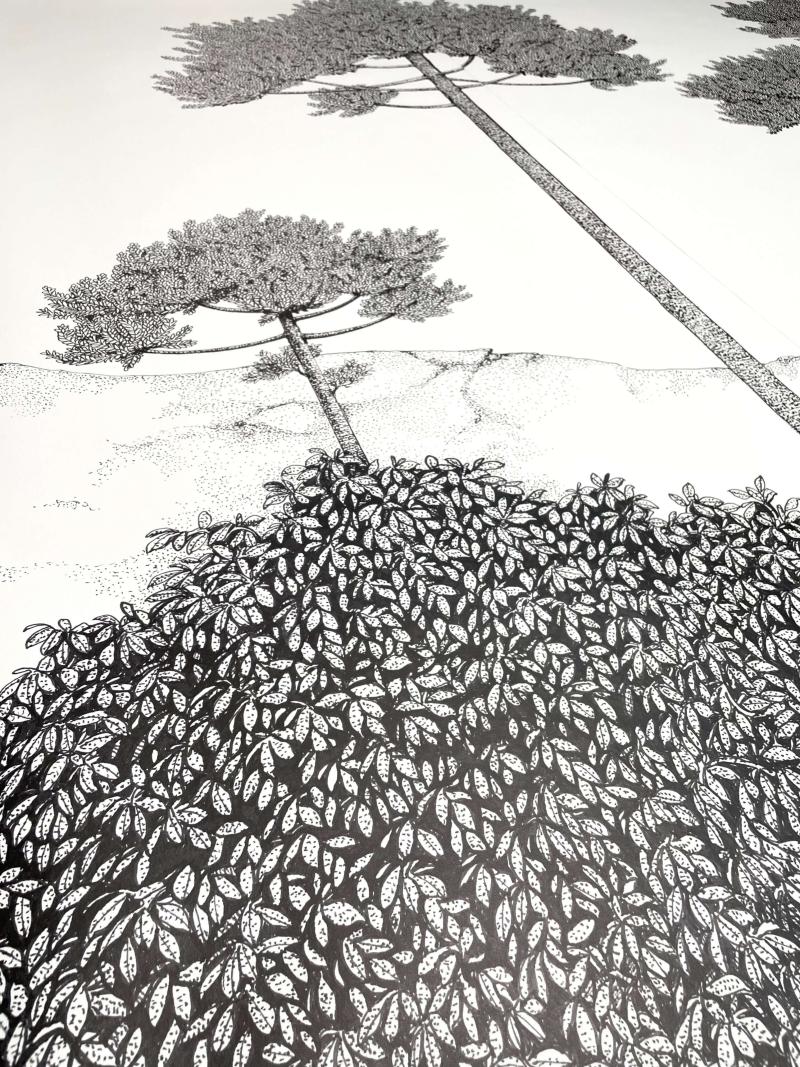 Planicie