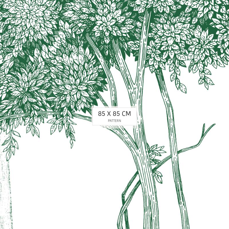Jardin d'éden