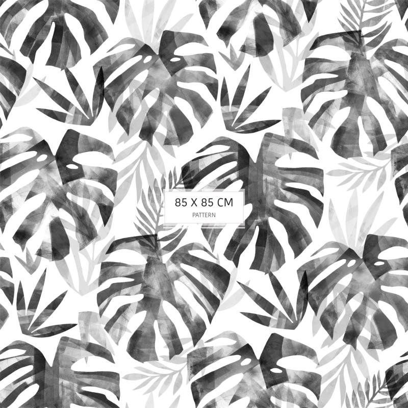 Cheeseplant
