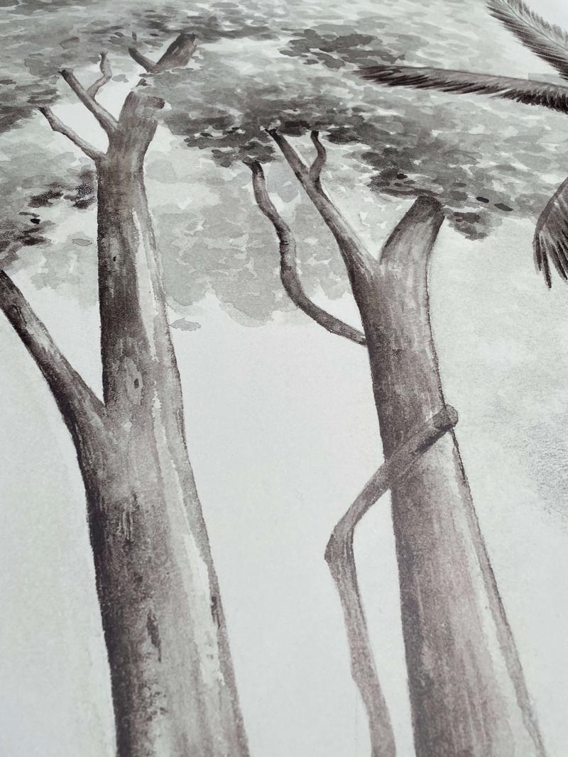 Koala's Paradise