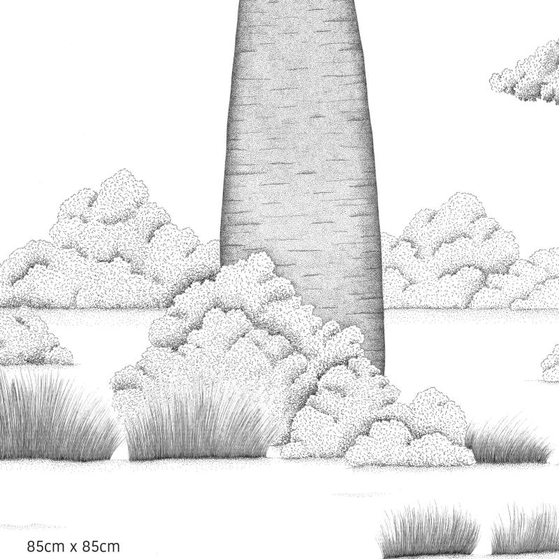 Baobab