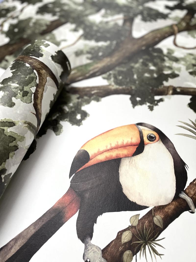 Toucan Paradise