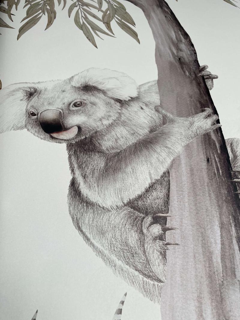 Koala's Paradise