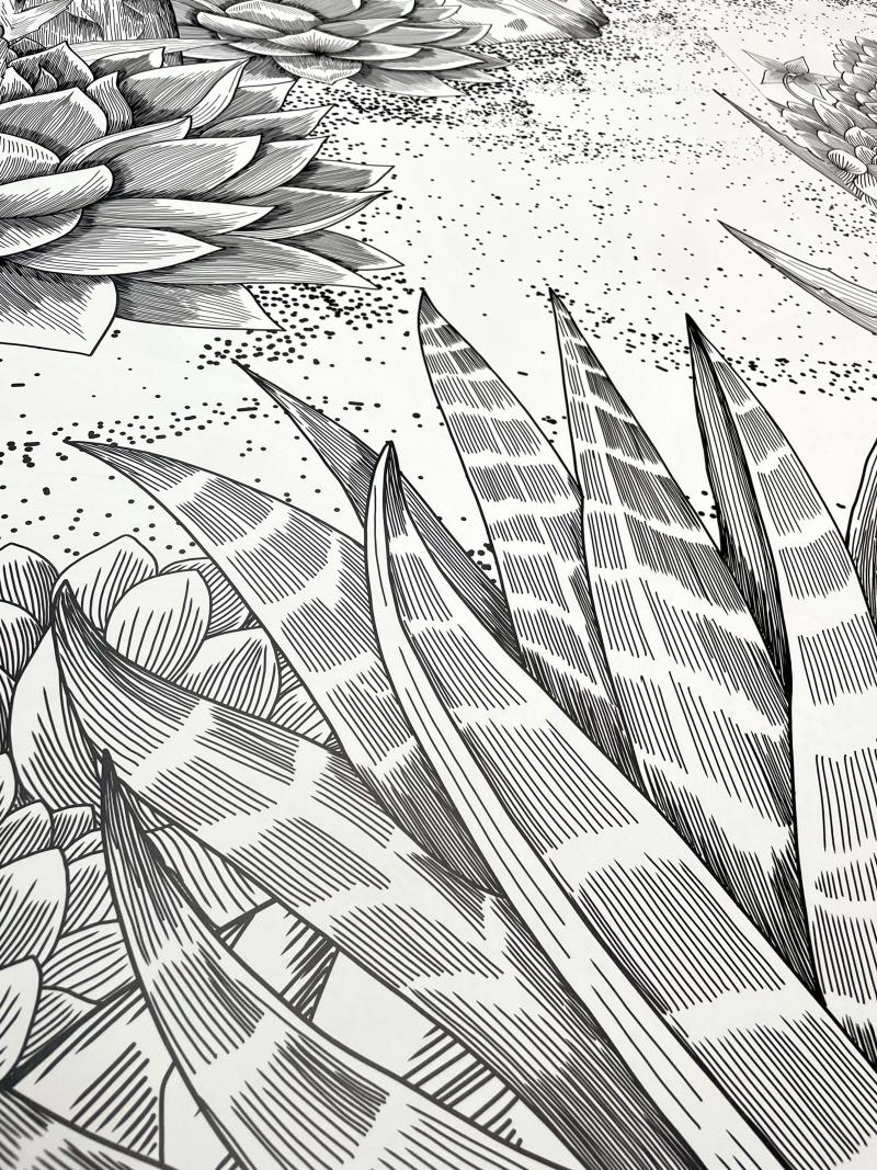 Desert Garden