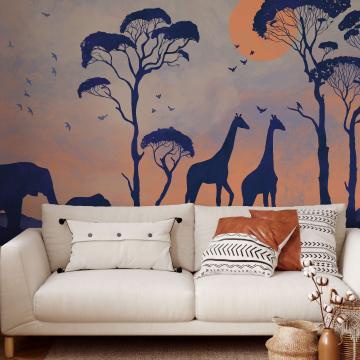 Safari