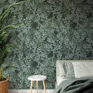 Wild Ivy